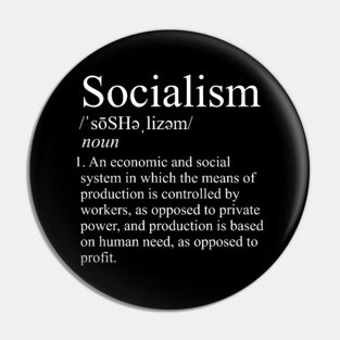 Socialism Definition - Socialist, Leftist, Leftism Pin