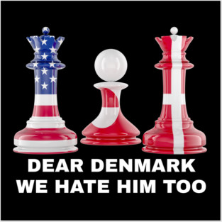 Dear Denmark We Hate Him Too Posters and Art