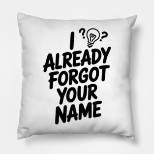 I Already Forgot Your Name Pillow