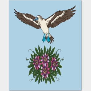 Flying Blue-footed Booby Nature Design Posters and Art