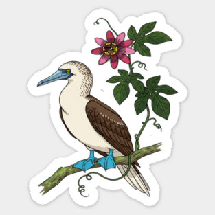 Blue Footed Booby Passionflower Vine Art Sticker