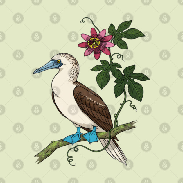 Blue Footed Booby Passionflower Vine Art by BirdsnStuff