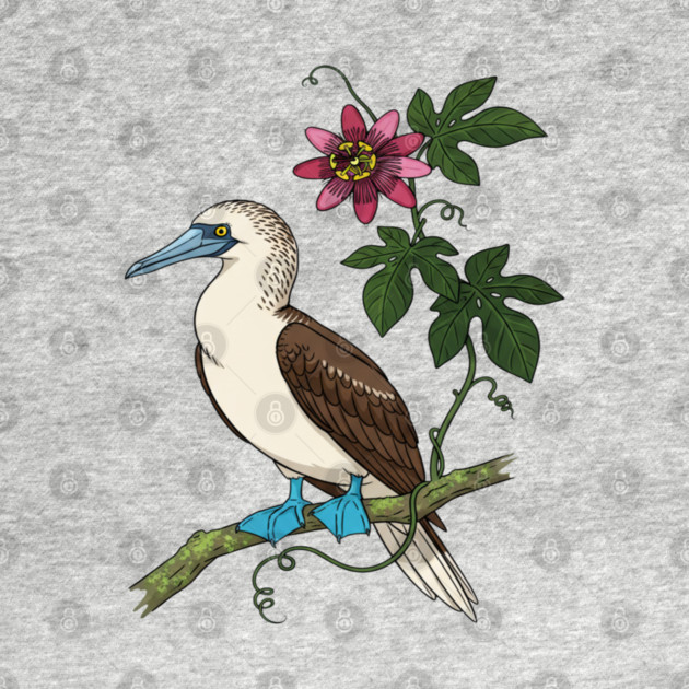 Blue Footed Booby Passionflower Vine Art by BirdsnStuff