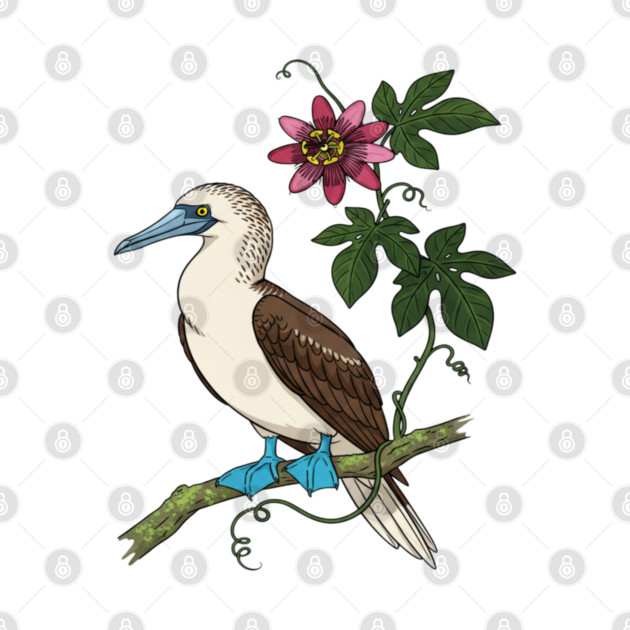 Blue Footed Booby Passionflower Vine Art by BirdsnStuff