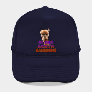 Handsome Lama Hat