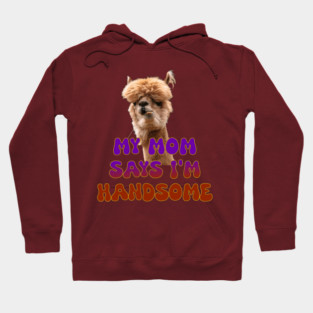 Handsome Lama Hoodie