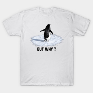 Penguin-But-Why T-Shirt