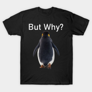 Penguin-But-Why T-Shirt