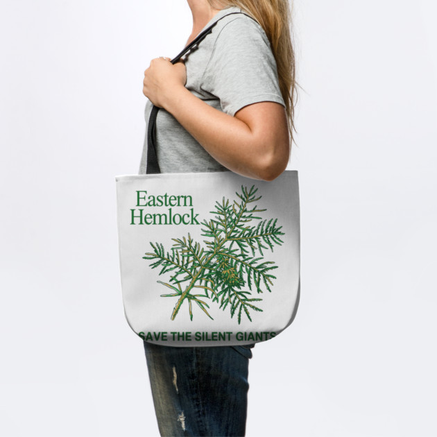 Eastern Hemlock by JessArty