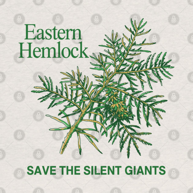 Eastern Hemlock by JessArty