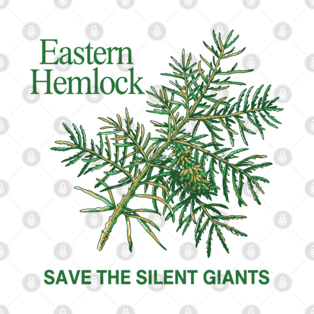 Eastern Hemlock by JessArty