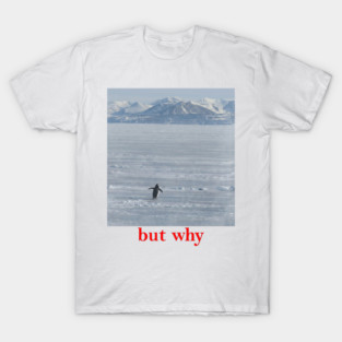 Penguin-But-Why T-Shirt