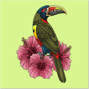 Stained Glass Collared Aracari Tropical Art Posters and Art