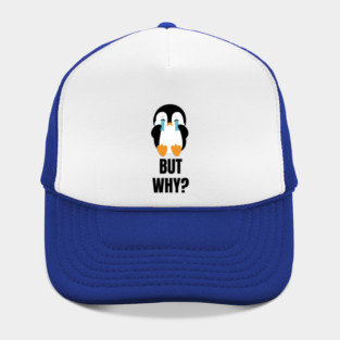 Penguin But Why Hat
