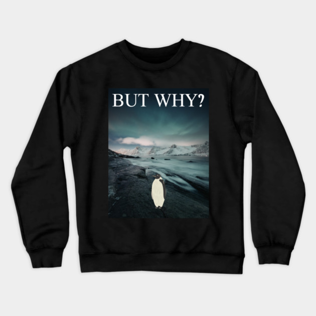 Penguin But Why Crewneck Sweatshirt by Creatifly Graphic Tees