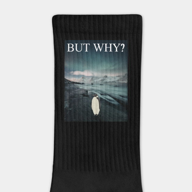 Penguin But Why by Creatifly Graphic Tees