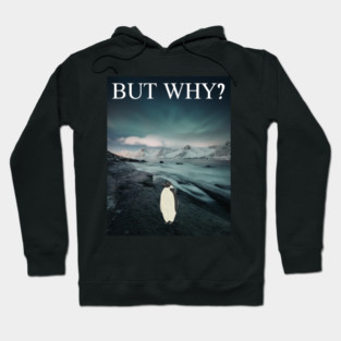 Penguin But Why Hoodie
