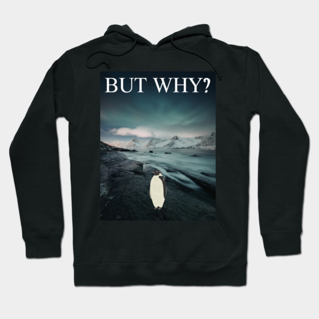 Penguin But Why Hoodie by Creatifly Graphic Tees