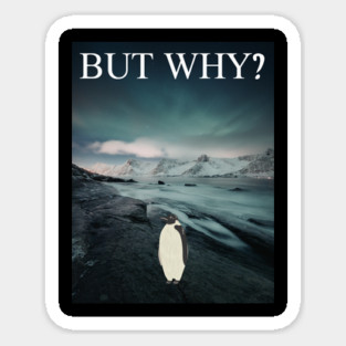 Penguin But Why Magnet