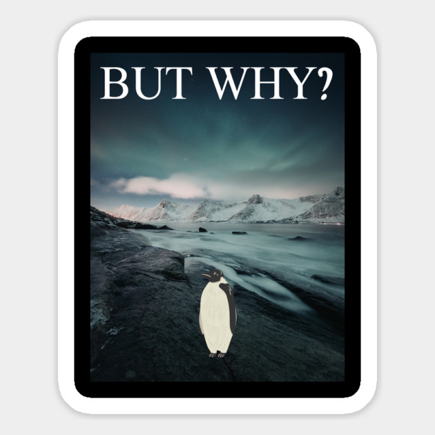 Penguin But Why Magnet by Creatifly Graphic Tees