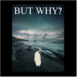 Penguin But Why Posters and Art