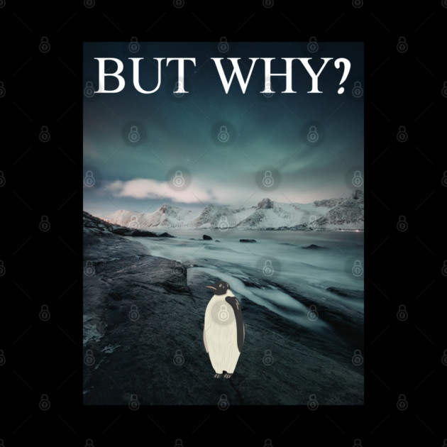 Penguin But Why by Creatifly Graphic Tees