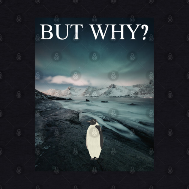 Penguin But Why by Creatifly Graphic Tees