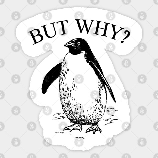 Penguin But Why Sticker by Creatifly Graphic Tees