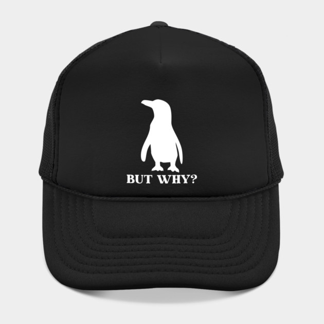 Penguin But Why by Creatifly Graphic Tees