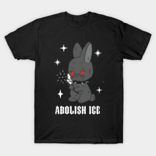 Abolish-Ice T-Shirt