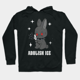 Abolish-Ice Hoodie