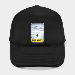 But Why Penguin On Ice Mountains Hat