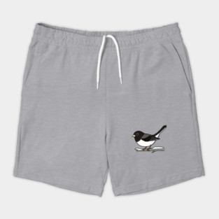 Snowbird Dark-Eyed Junco on Branch Shorts