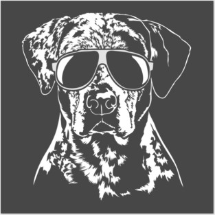 Funny Catahoula Leopard Dog with sunglasses Posters and Art