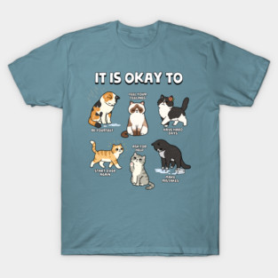 It Is Okay To T-Shirt