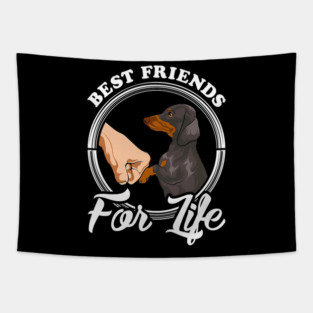 Dachshund Lover Best Friends Funny Tapestry