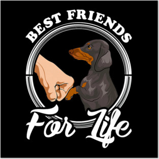 Dachshund Lover Best Friends Funny Posters and Art