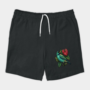 Stained Glass Honeycreeper with Red Anthurium Shorts