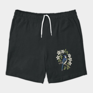 Blue Jay Clematis Botanical Bird Art Shorts