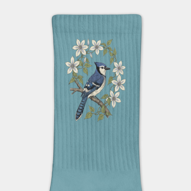 Blue Jay Clematis Botanical Bird Art by BirdsnStuff