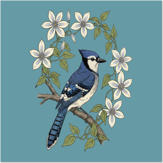 Blue Jay Clematis Botanical Bird Art Wall Art by BirdsnStuff