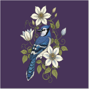 Vintage Blue Jay Clematis Botanical Bird Posters and Art