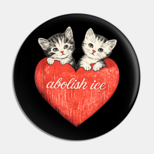 abolish-ice Pin