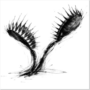 Venus Flytrap – Expressive Ink Botanical Art Posters and Art