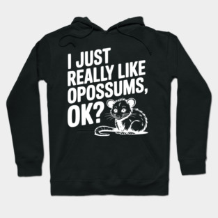 I Just Really Like Opossums, ok? Hoodie