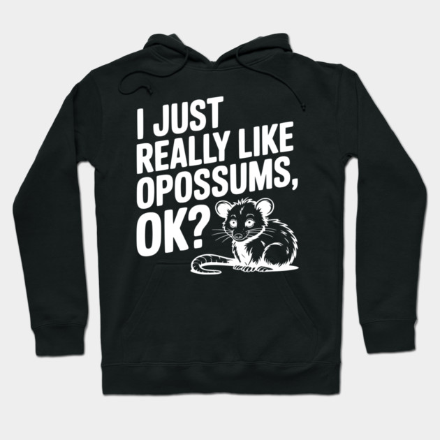 I Just Really Like Opossums, ok? Hoodie by Frank Ring