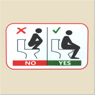 How to use a toilet correctly Posters and Art