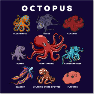 Kawaii Octopuses of the World Posters and Art