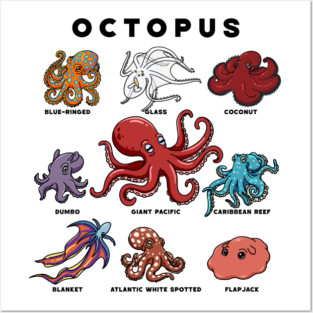 Cartoon Octopods Posters and Art