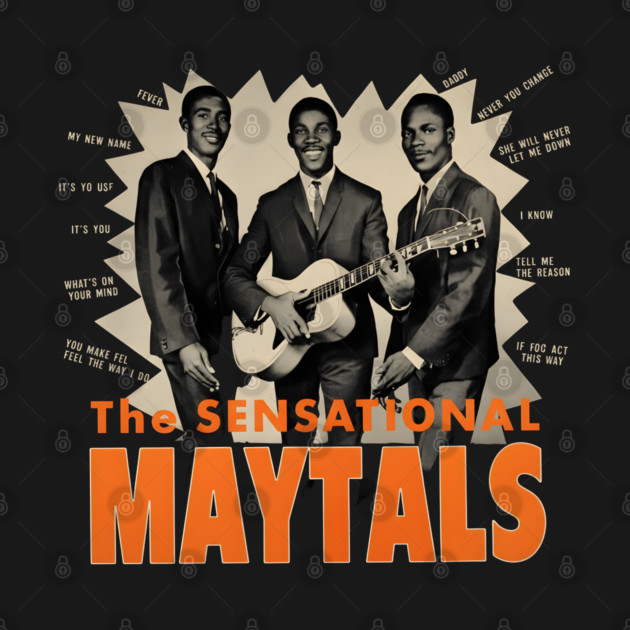 Toots And The Maytals Band by dtr_art